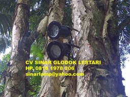 Lampu Sorot Taman LED 3W
